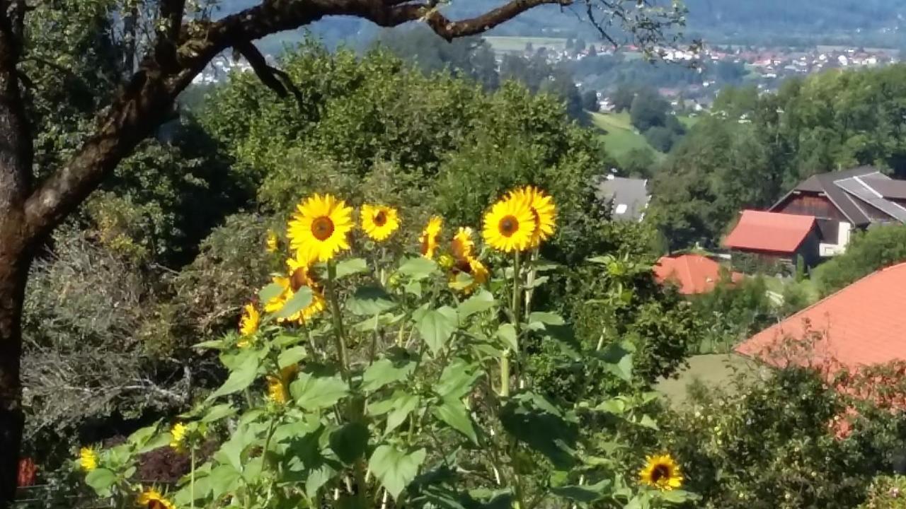 Muellnerhaus Appartement Millstatt Buitenkant foto