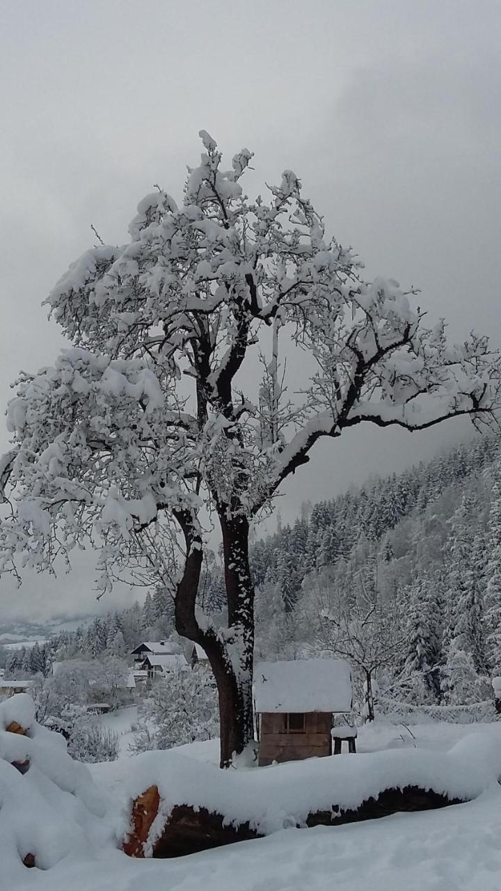 Muellnerhaus Appartement Millstatt Buitenkant foto